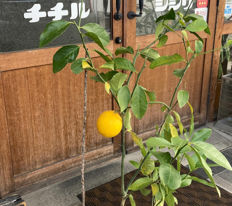 画像351